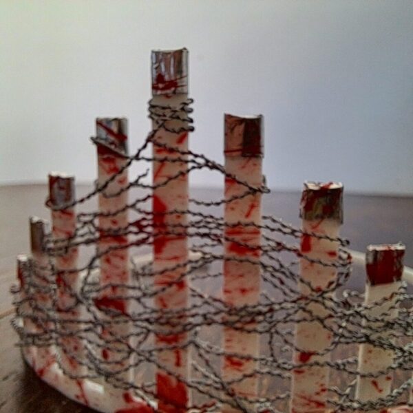 Hardcore Wresling Barbed Wire Tiara - Image 2